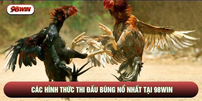 Các hình thức thi đấu bùng nổ nhất tại 98WIN