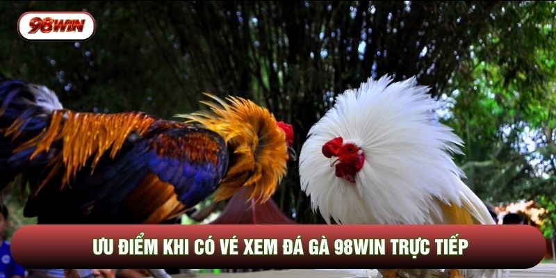 Ưu điểm khi có vé xem đá gà 98WIN trực tiếp